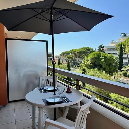 2 Pieces Bord De - Parking-clim-piscine Daire Villeneuve-Loubet